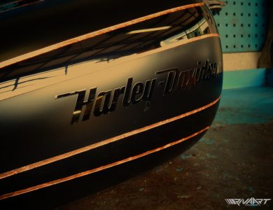 H-D Sporter 1200 Copper Scallops